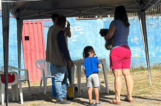 Morcego com raiva leva Prefeitura de Timóteo a iniciar bloqueio vacinal no Ana Moura