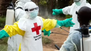 Minas intensifica monitoramento após OMS declarar emergência internacional por ebola