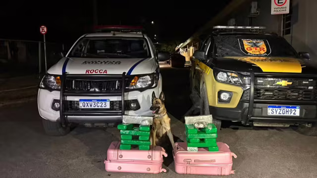Cães da PM encontram 22 barras de maconha em malas; mulher é presa na LMG-653