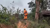 Homem morre após ser atingido por árvore durante corte em Pedro Leopoldo