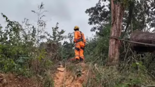 Homem morre após ser atingido por árvore durante corte em Pedro Leopoldo