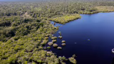 Governo lança 5º leilão do Eco Invest Brasil e prevê até R$ 50 bilhões em investimentos