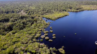 Governo lança 5º leilão do Eco Invest Brasil e prevê até R$ 50 bilhões em investimentos