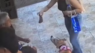 Vira-lata caramelo é flagrado pegando pacote de carne e correndo em São Luís