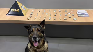 Cão farejador localiza drogas durante Operação Cerco Fechado em Manhuaçu
