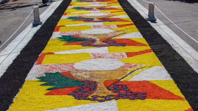 Piquerobi mobiliza 1 mil voluntários para montar tapete de 384 metros em Corpus Christi e anuncia show do Rosa de Saron
