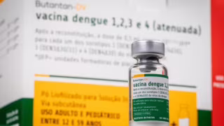 Butantan promete manter estudos e farmacovigilância após suspensão temporária da vacina contra dengue