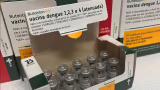 Ministério da Saúde suspende vacina contra a dengue do Butantan; duas mortes são investigadas