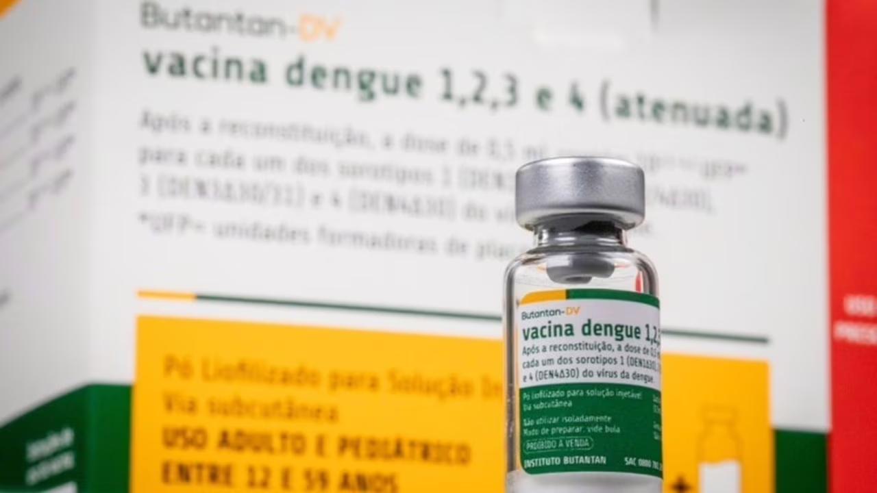 Imunização contra a dengue