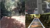 Ponte metálica furtada em Prados (MG) foi vendida por morador que acreditava ser dono da estrutura, diz Polícia Civil