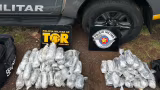 Motorista é preso com 41 kg de “dry” avaliados em R$ 2,8 milhões na Raposo Tavares, em Presidente Prudente
