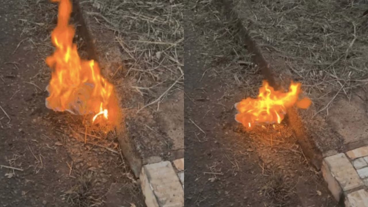 Após incêndio, esposa de Regis Danese queimou boneco