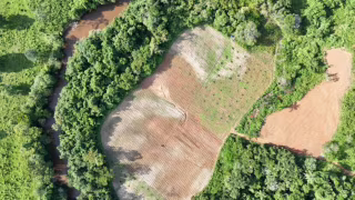 Operação da Polícia Civil de MG prende nove e apreende mais de cinco toneladas de maconha