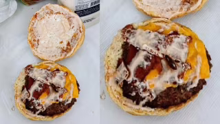 Hamburgueria do Paraná suspeita de imagem com IA em pedido de reembolso por barata em lanche