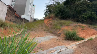 Audiência pública vai discutir futuro de áreas de quase R$ 100 milhões no Horto, em Ipatinga