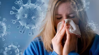 Estudo revela como o influenza A altera células humanas para se multiplicar