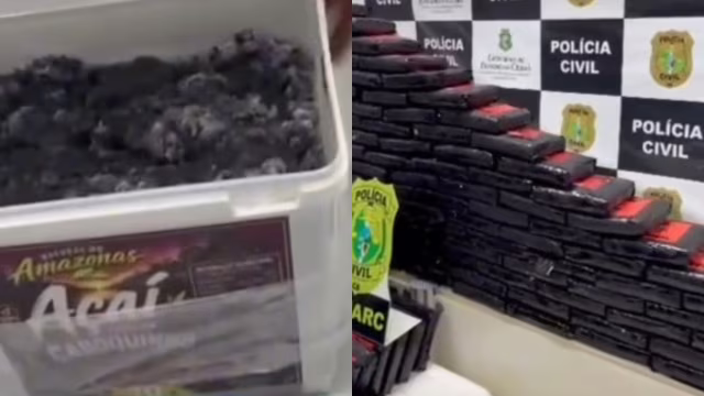 Carga de 264 quilos de skunk é apreendida em Fortaleza (CE)
