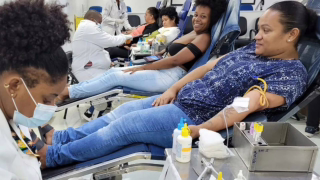 Novas regras reduzem prazo para doar sangue após tatuagem e procedimentos estéticos