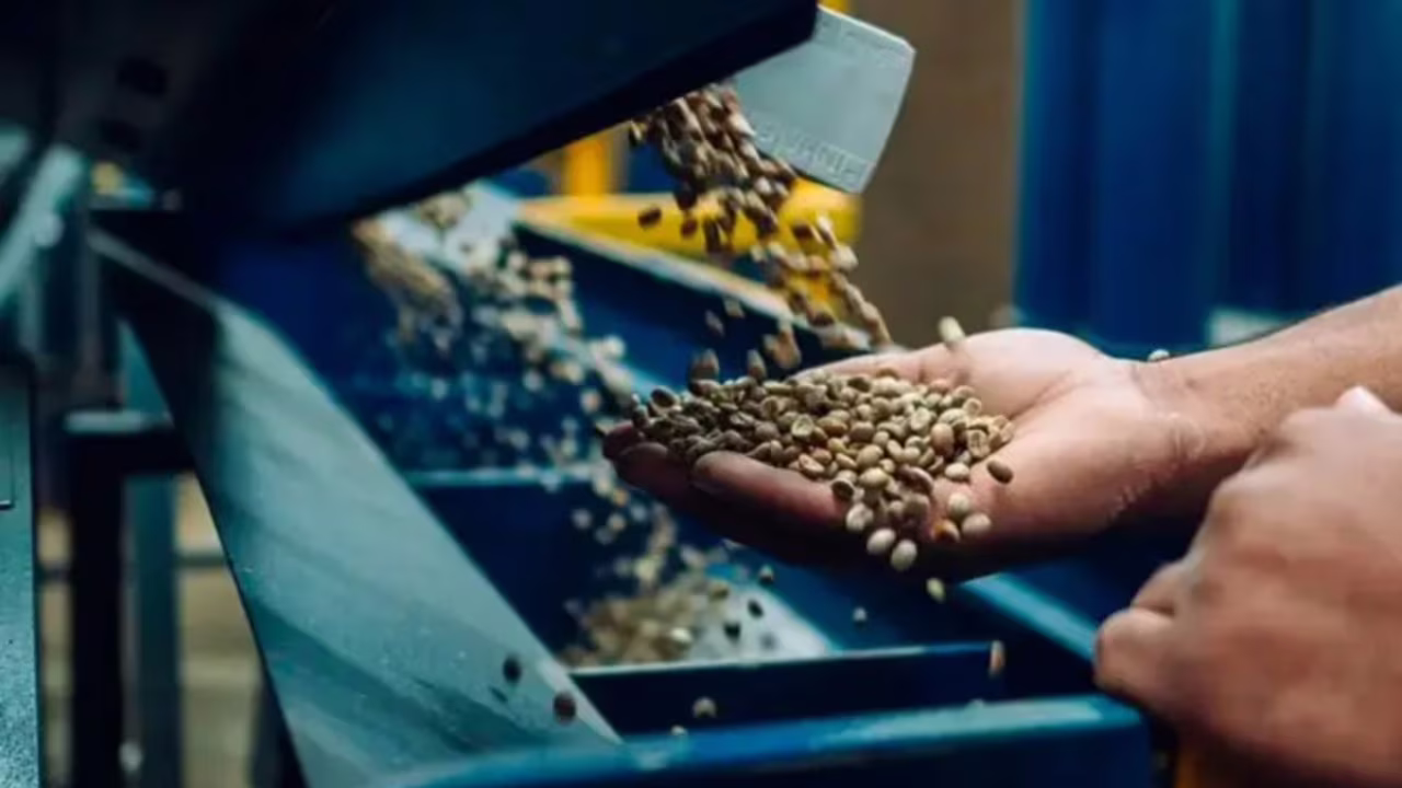 Exportações de Minas Gerais aos EUA caem 26%