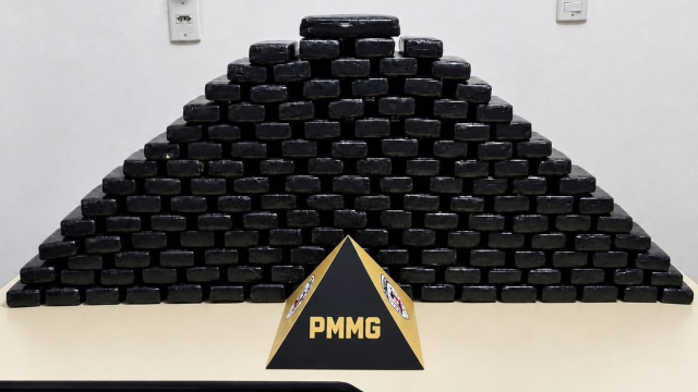 PM apreende 148 barras de material semelhante à maconha em ilha de Belo Oriente, MG