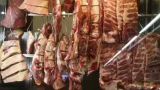 Auditoria da União Europeia aprova controles brasileiros para carne de aves e mel