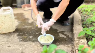 Ipatinga entra em alerta após LIRAa apontar infestação de 2,9% pelo Aedes aegypti
