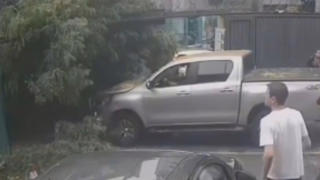 Câmera registra árvore caindo sobre caminhonete em Belo Horizonte, MG; ninguém se feriu