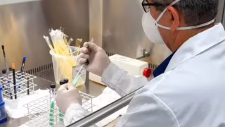 Tecnologia de Minas Gerais pode reduzir custo do diagnóstico da tuberculose