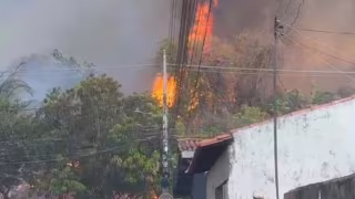 Incêndio de grandes proporções atinge Embrapa Meio-Norte em Teresina