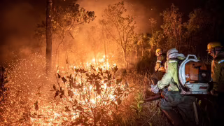Ibama extingue 229 incêndios e mantém combate a 20 focos ativos no Amazonas