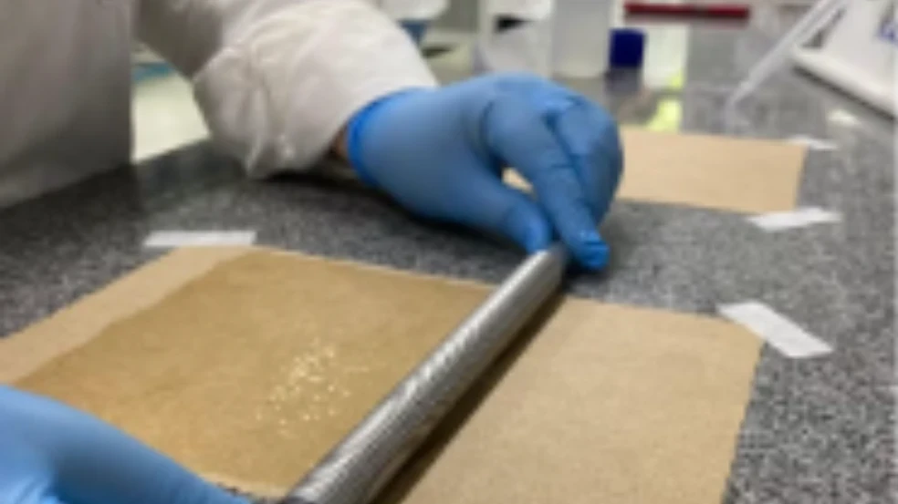 Brasileiros criam papel sustentável que substitui plástico
