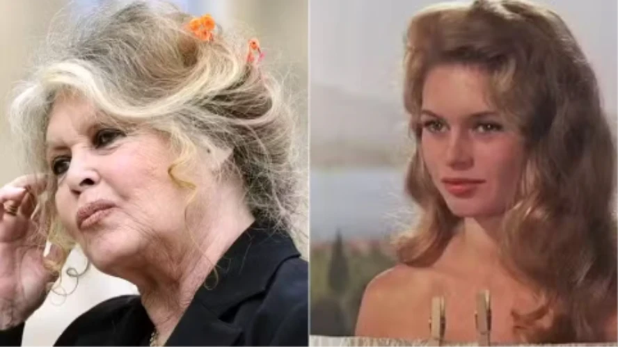 Brigitte Bardot é hospitalizada às pressas na França por doença grave
