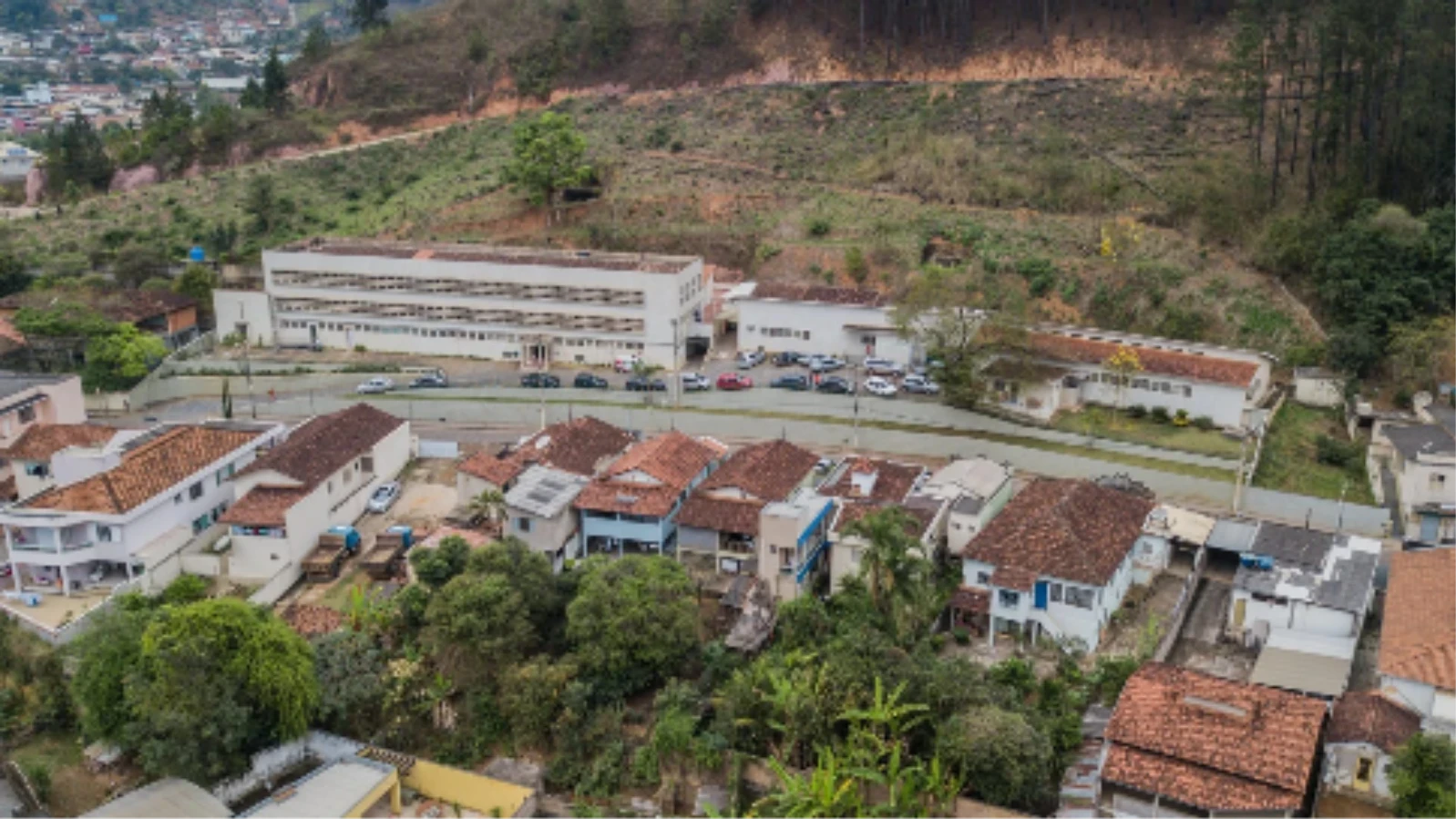 Enxame de abelhas invade academia e deixa três feridos em Nova Era