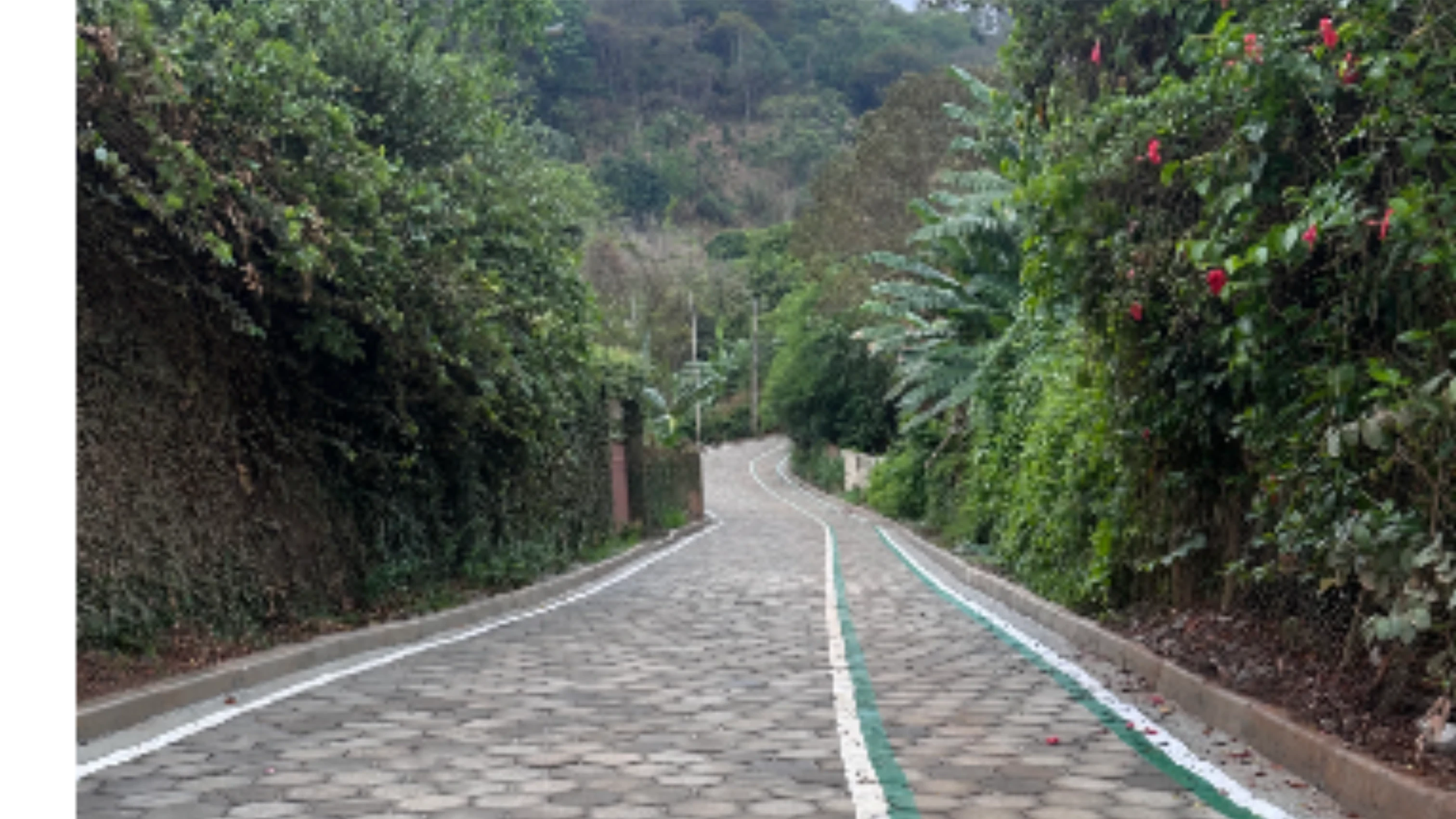 Prefeitura de Timóteo entrega pavimentação de avenida após décadas