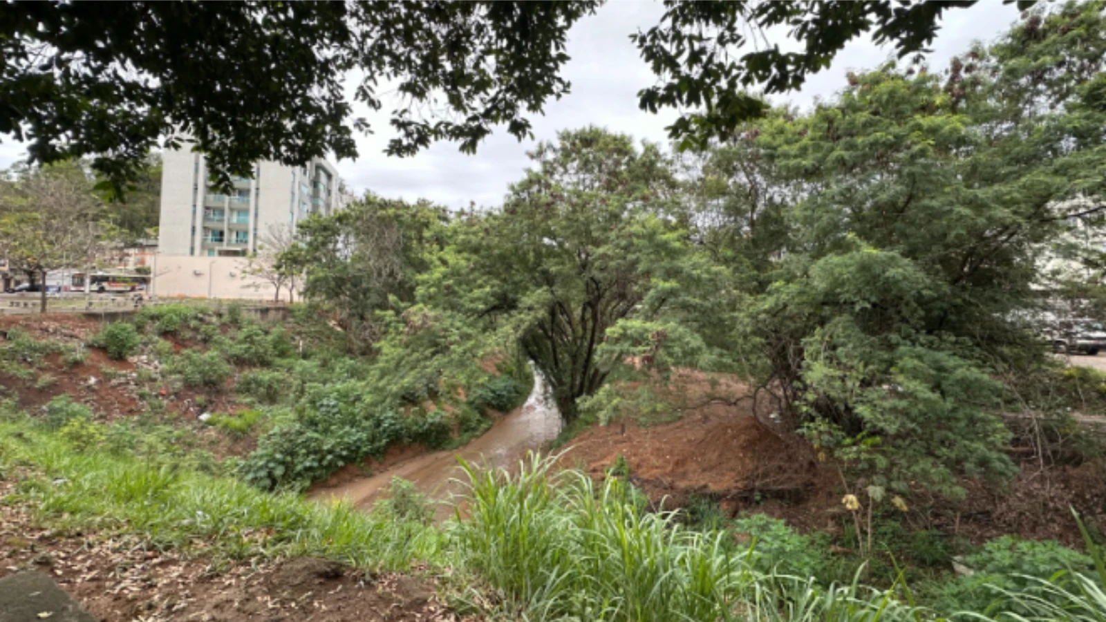 Timóteo inicia levantamento topográfico do projeto de revitalização do Fundo de Vale do Córrego Timotinho