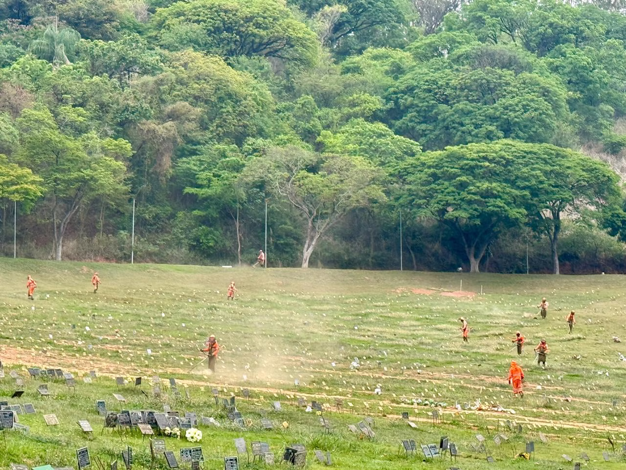 SUGESTÃO DE PAUTA - Cemitérios recebem manutenção