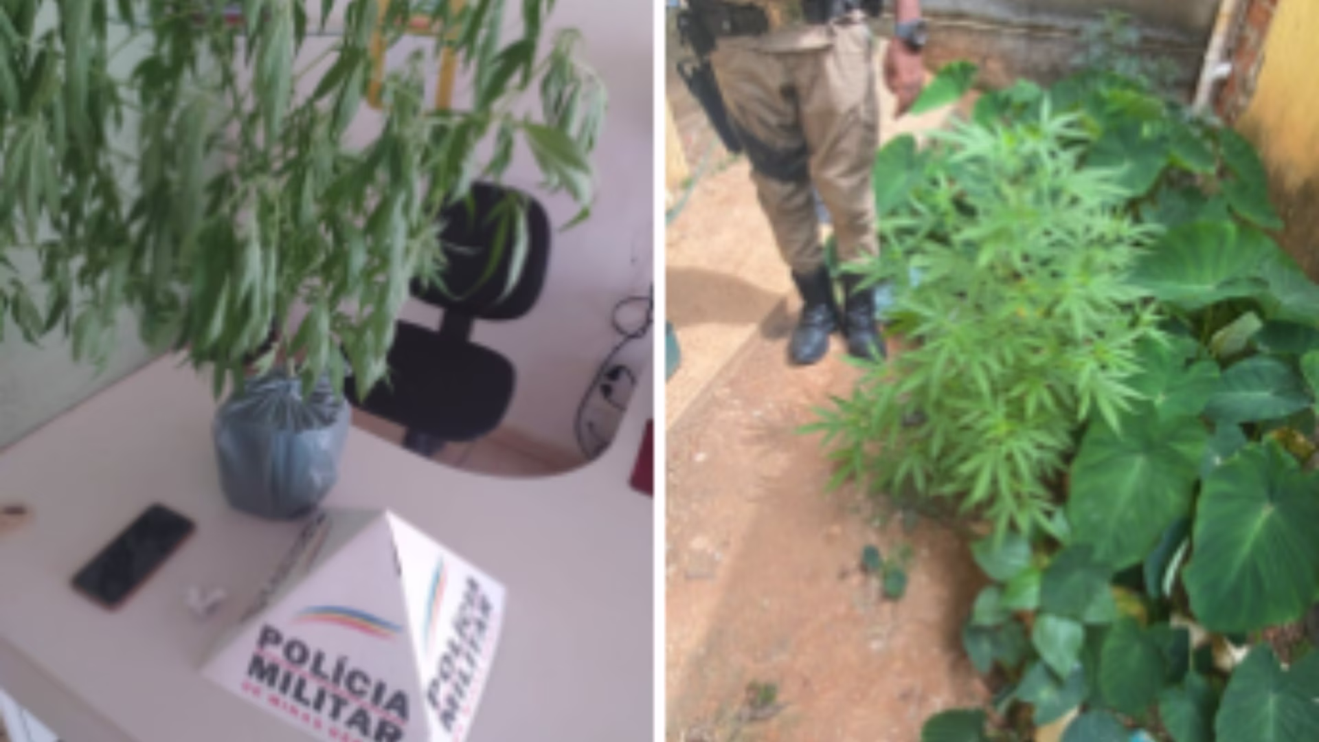 Ao notar a presença dos policiais, o jovem tentou escapar pulando os muros das residências próximas, mas foi alcançado e detido pela equipe policial.