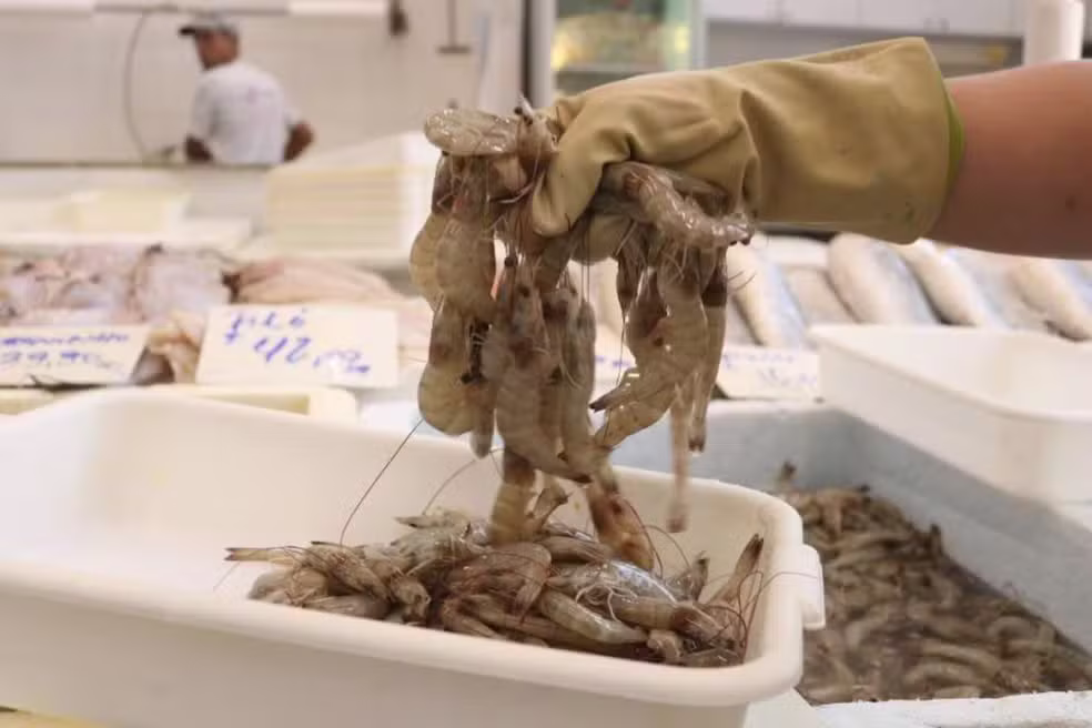 Festival reúne residentes de toda a área