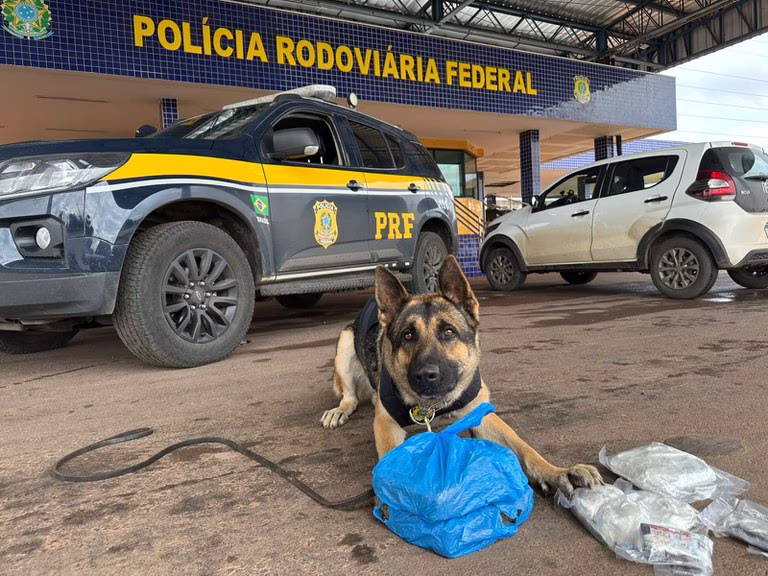 Em razão dos acontecimentos, o motorista foi preso e levado à Polícia Civil do Distrito Federal para a formalização do flagrante por tráfico de drogas