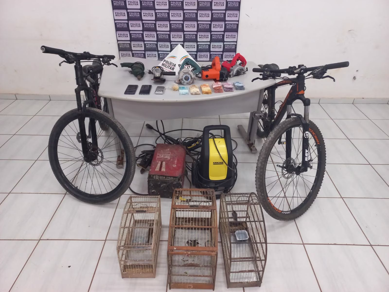 No local, foram descobertos três pássaros silvestres que estavam mantidos em cativeiro de forma ilegal, caracterizando assim um crime ambiental