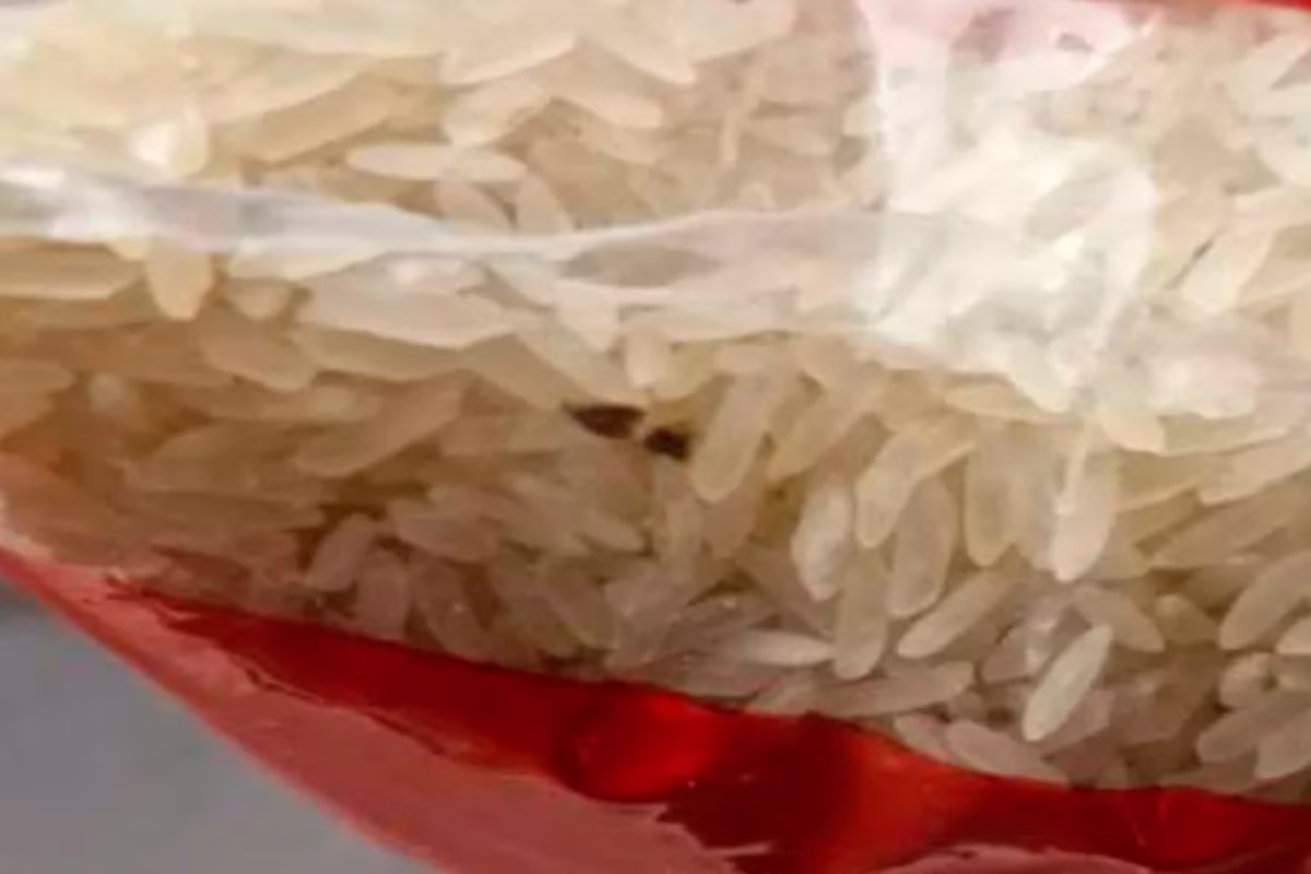 As irregularidades identificadas incluem a presença de arroz infestado com carunchos e larvas, inadequações de higiene em armazéns e questões estruturais nas cozinhas