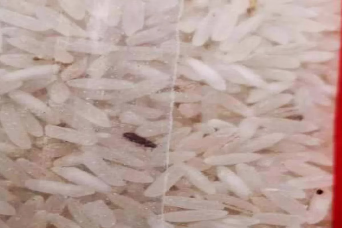 Desculpe, mas não há informação suficiente para reescrever a legenda. Você poderia fornecer mais detalhes ou uma nova legenda?