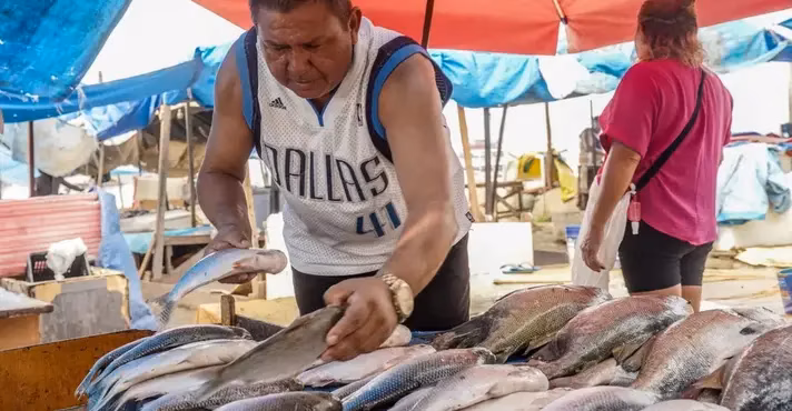 A incorporação do peixe na lista oficial do Ministério do Meio Ambiente provoca insegurança jurídica e preocupação no setor de aquicultura brasileiro, mesmo com a continuidade do cultivo liberado
