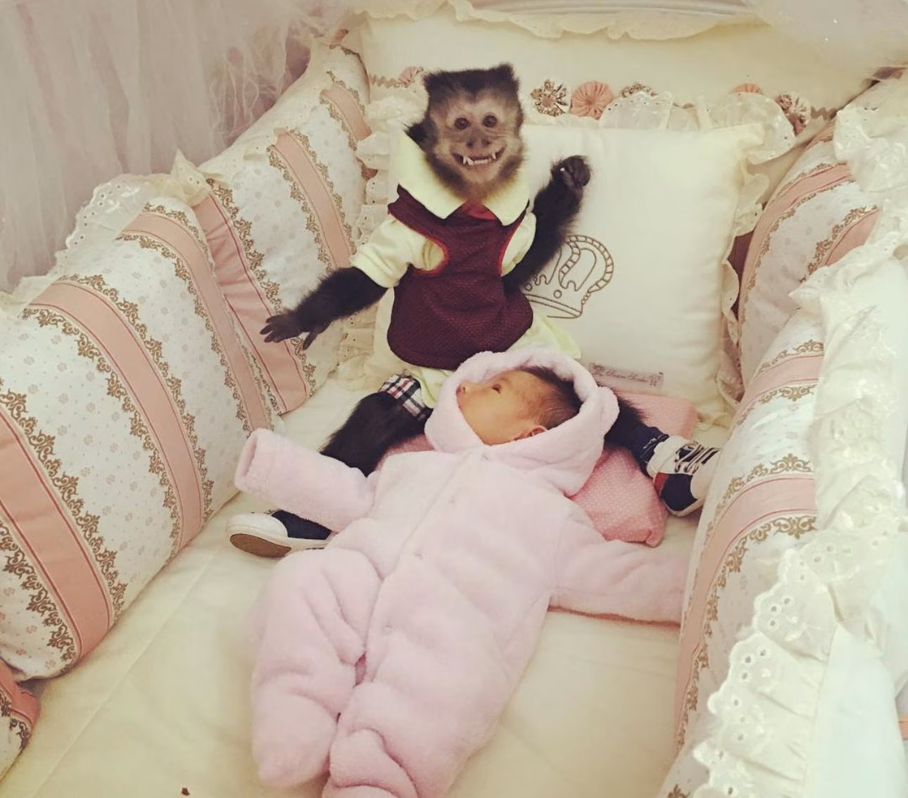 Imagens da família frequentemente incluem a companhia de seus pets