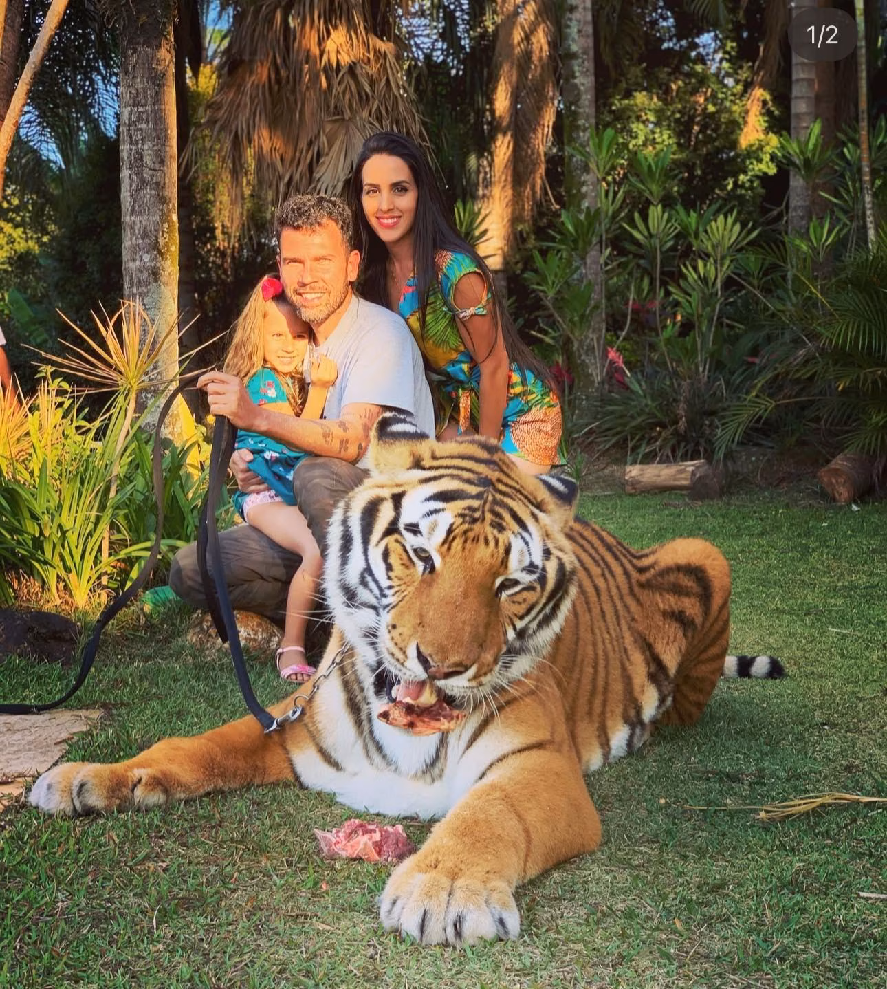 A família junto ao tigre Tom