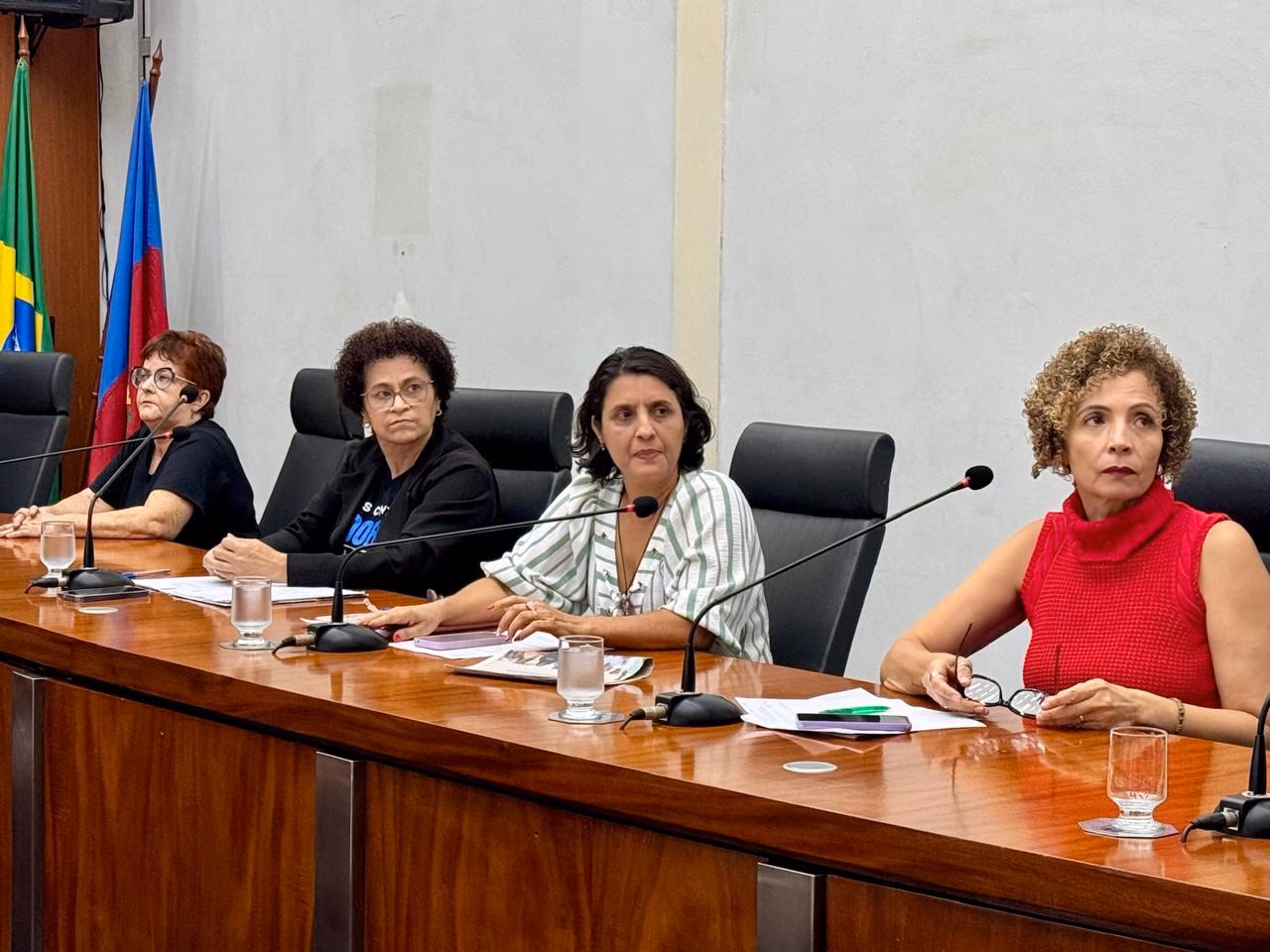 Você é um corretor ortográfico de legendas jornalísticas.