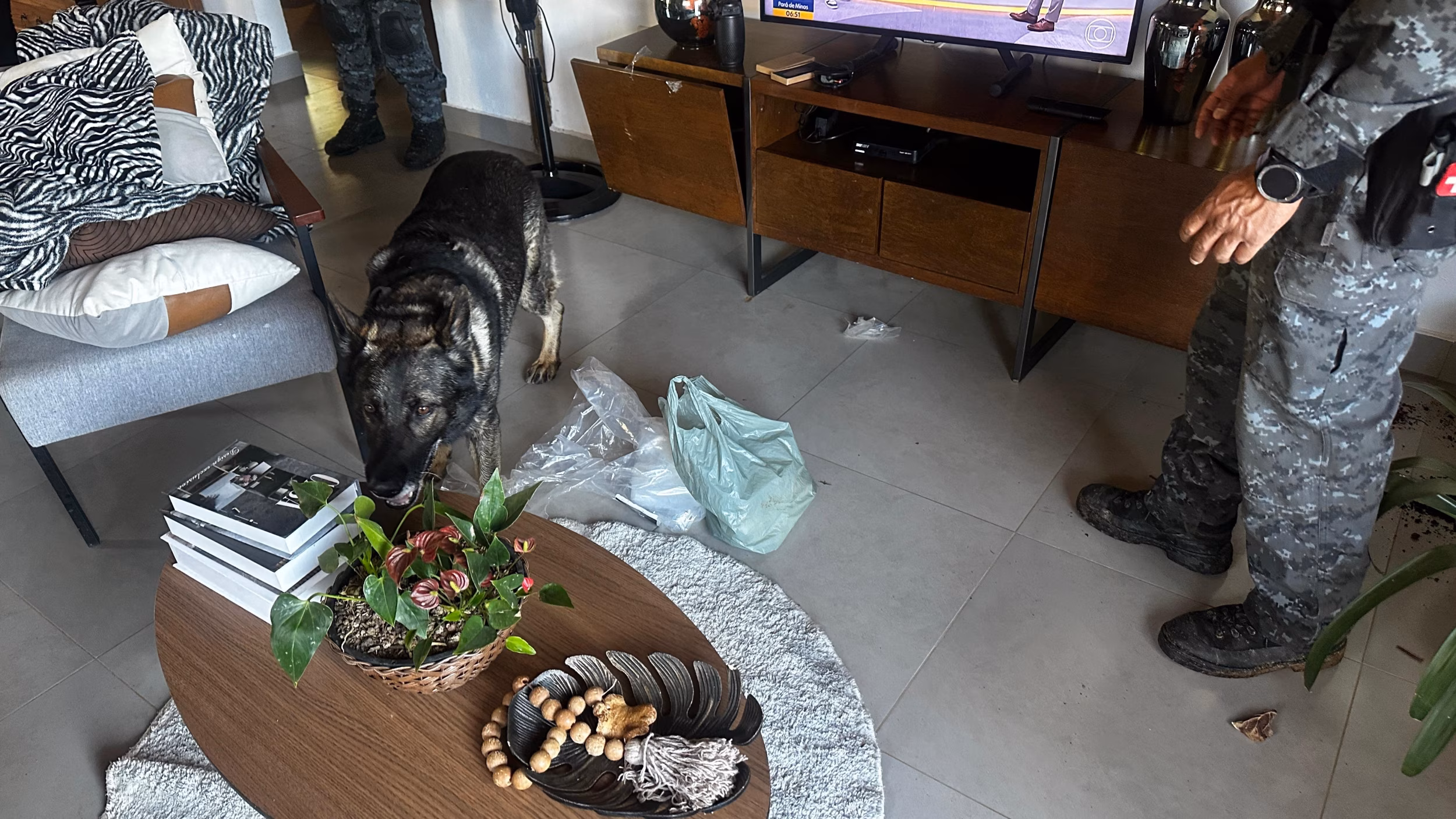 A ação teve início na madrugada, mobilizando cerca de 100 policiais, com o suporte do Canil, de uma aeronave e da CORE, a tropa de elite da instituição