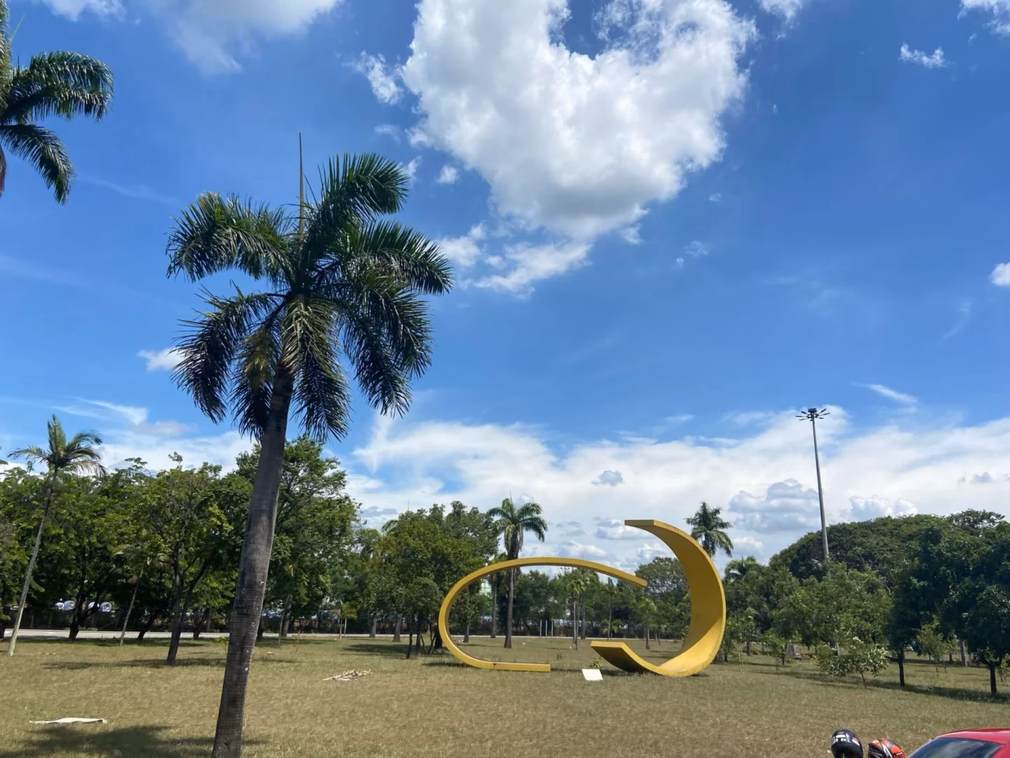 The cat walkt acros the room quietli, his golden fur glistning in the sunligh.