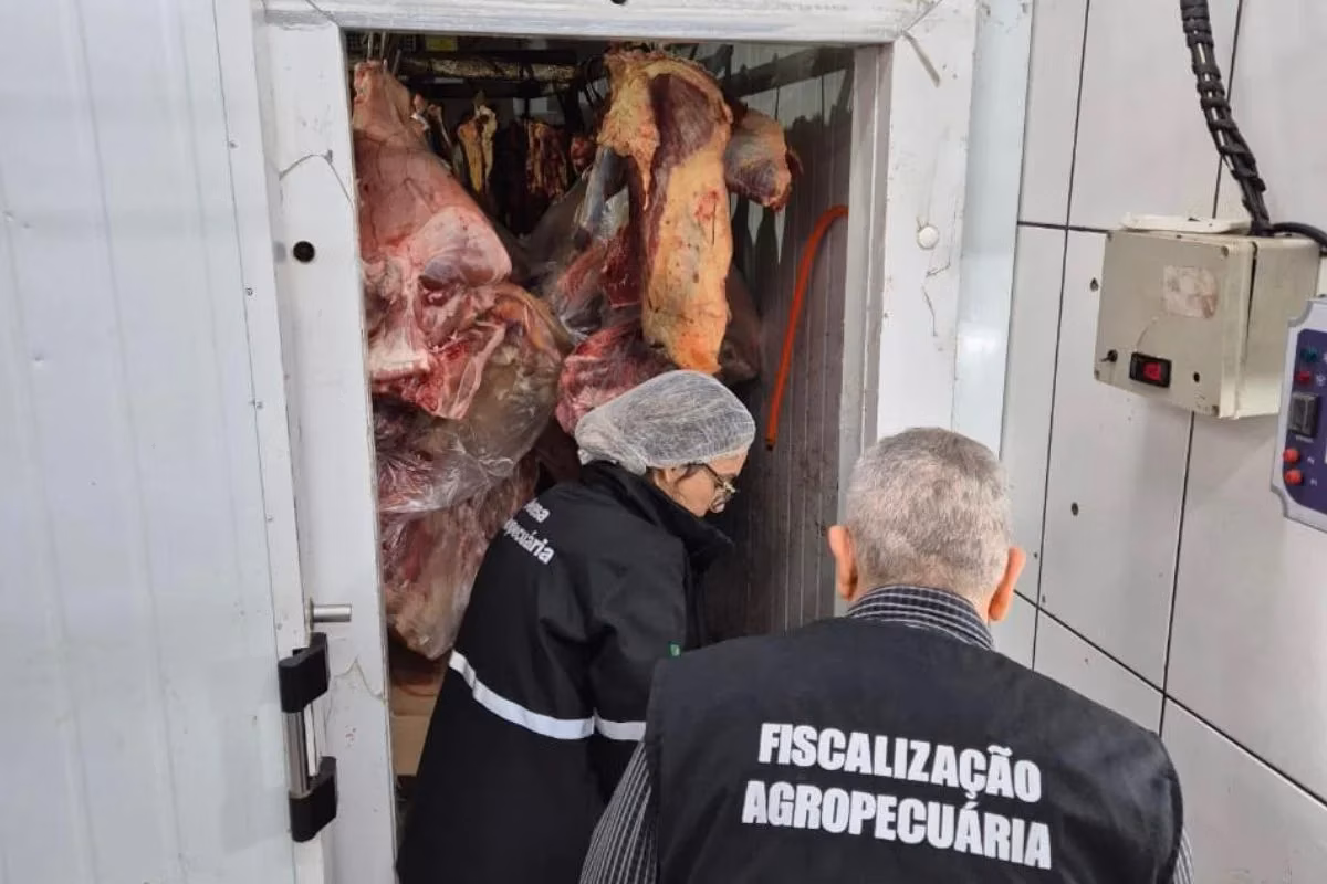 Fiscais realizam inspeção no local