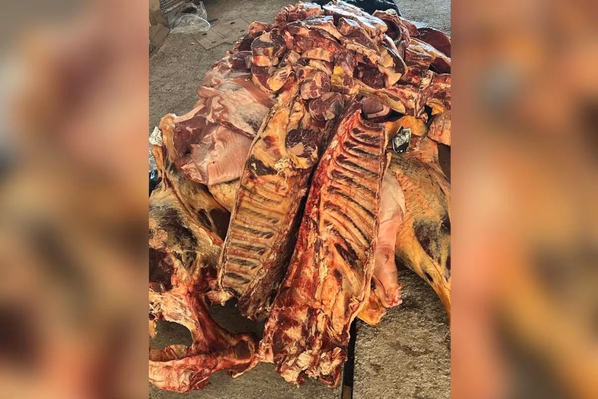 Carne com validade expirada há dois anos é confiscada